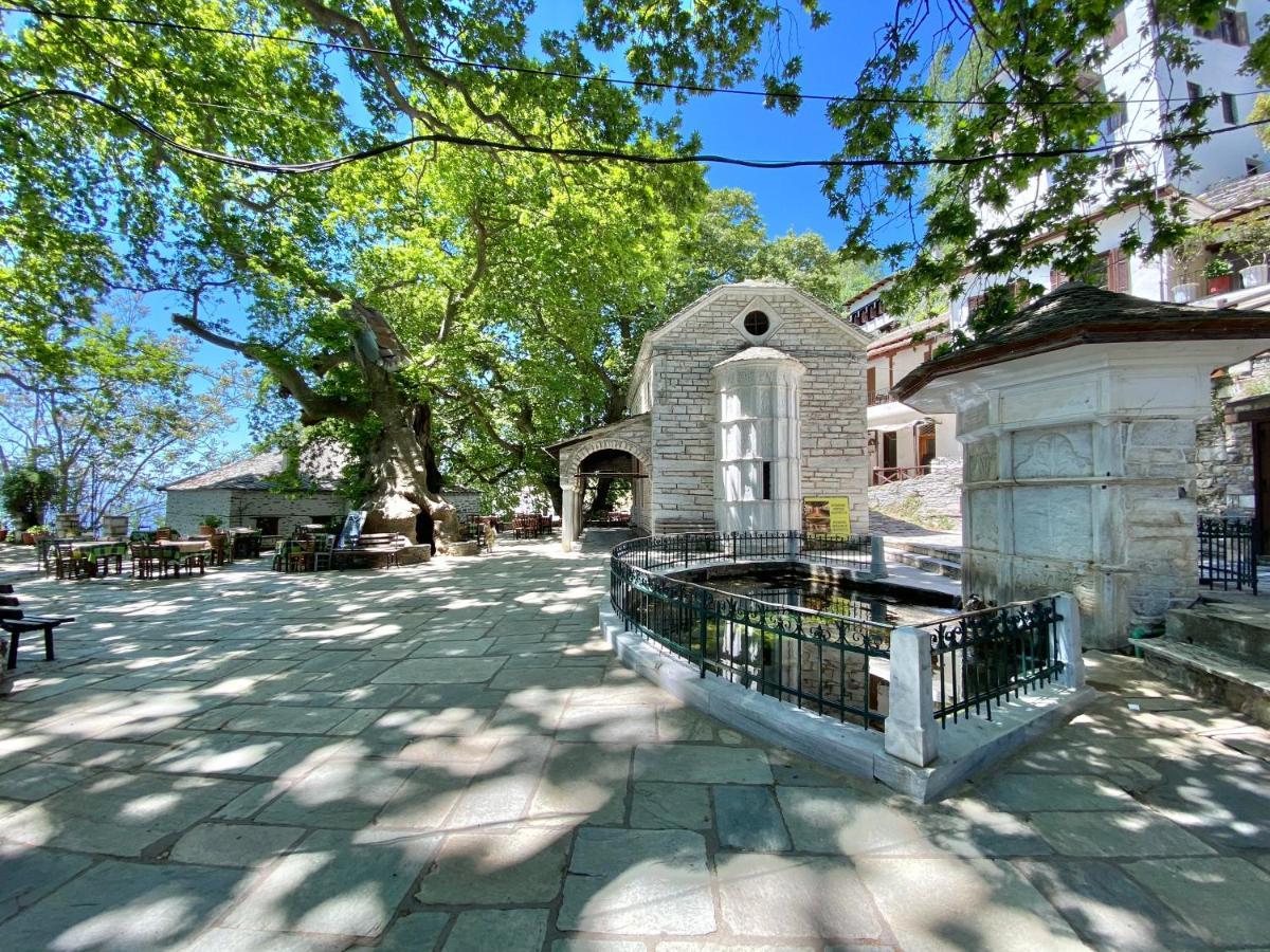 Hotel Archontika Karamarlis Makrinítsa Exterior foto